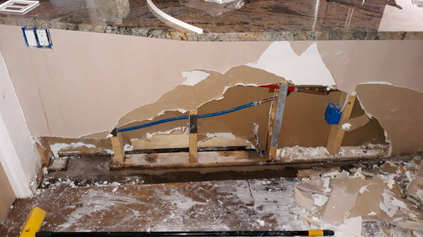 Best Professional water damage repair  in North Springfield, VA