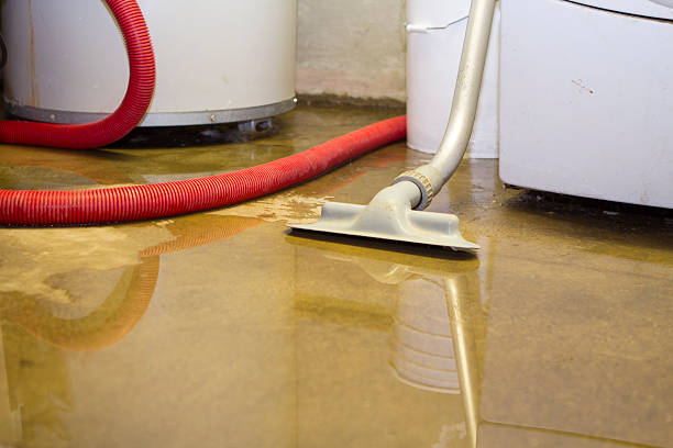 Best Water damage cleanup near me  in North Springfield, VA