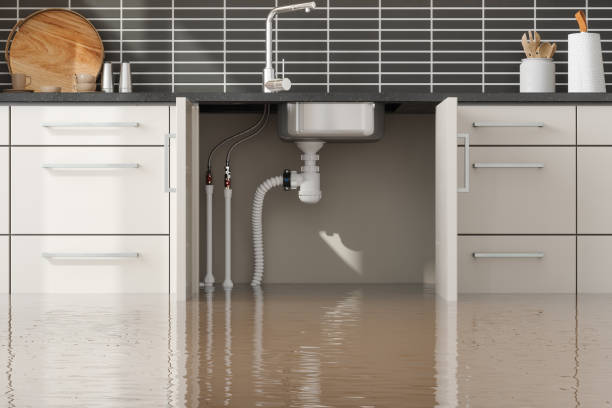 Best Commercial water damage restoration  in North Springfield, VA
