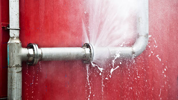 Best Mold removal after water damage  in North Springfield, VA