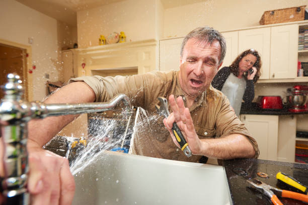 Best 24/7 water damage repair  in North Springfield, VA